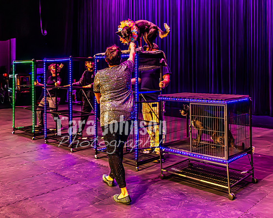 2026 Mutts in Motion - Highlights - TJP (54 of 90)