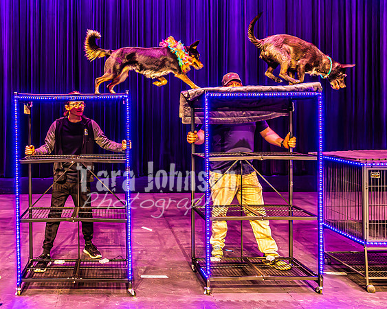 2026 Mutts in Motion - Highlights - TJP (56 of 90)