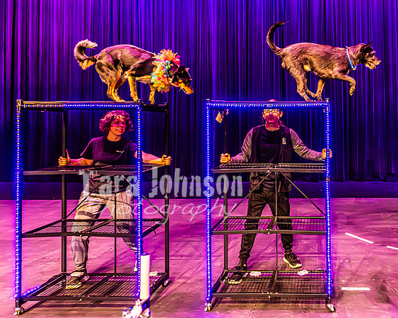 2026 Mutts in Motion - Highlights - TJP (55 of 90)