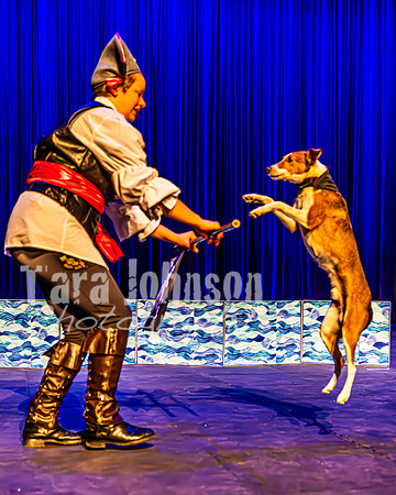2026 Mutts in Motion - Highlights - TJP (60 of 90)