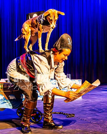 2026 Mutts in Motion - Highlights - TJP (63 of 90)