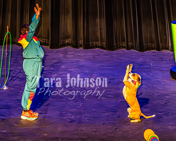 2026 Mutts in Motion - Highlights - TJP (68 of 90)