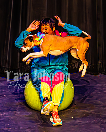 2026 Mutts in Motion - Highlights - TJP (69 of 90)