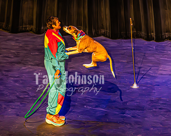 2026 Mutts in Motion - Highlights - TJP (70 of 90)