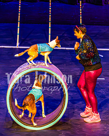 2026 Mutts in Motion - Highlights - TJP (73 of 90)