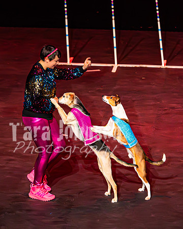 2026 Mutts in Motion - Highlights - TJP (76 of 90)