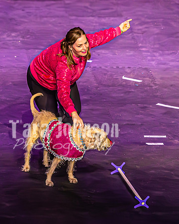2026 Mutts in Motion - Highlights - TJP (81 of 90)