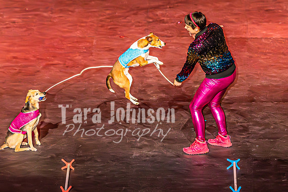 2026 Mutts in Motion - Highlights - TJP (79 of 90)