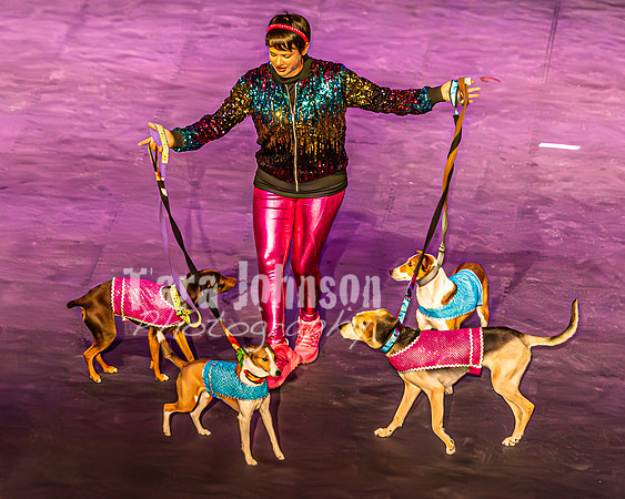 2026 Mutts in Motion - Highlights - TJP (82 of 90)