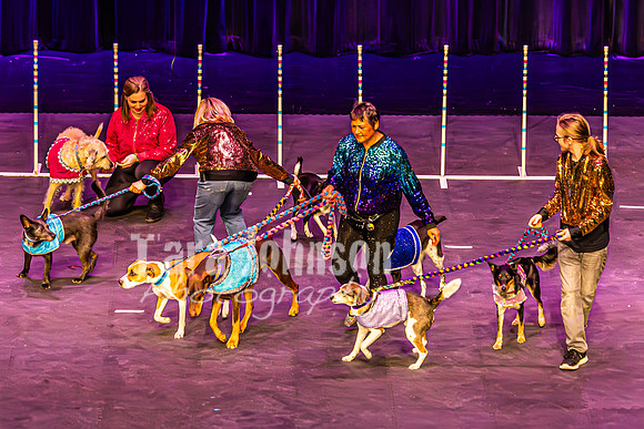 2026 Mutts in Motion - Highlights - TJP (83 of 90)