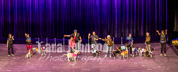 2026 Mutts in Motion - Highlights - TJP (85 of 90)