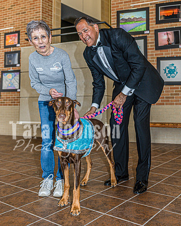 2026 Mutts in Motion - Highlights - TJP (89 of 90)