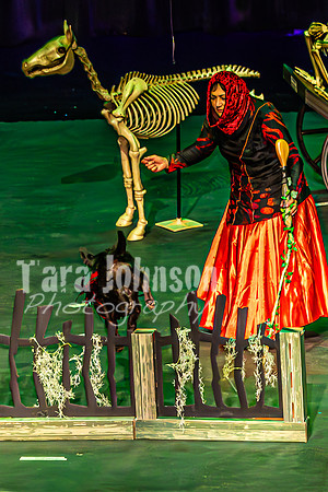 2026 Mutts in Motion - Tewks & Susette (Spell) - TJP (5 of 31)