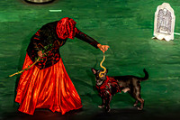 2026 Mutts in Motion - Tewks & Susette (Spell) - TJP (6 of 31)