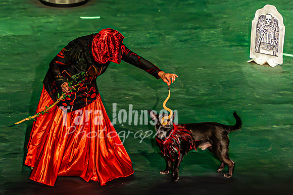 2026 Mutts in Motion - Tewks & Susette (Spell) - TJP (6 of 31)