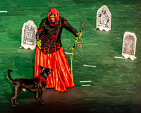 2026 Mutts in Motion - Tewks & Susette (Spell) - TJP (9 of 31)