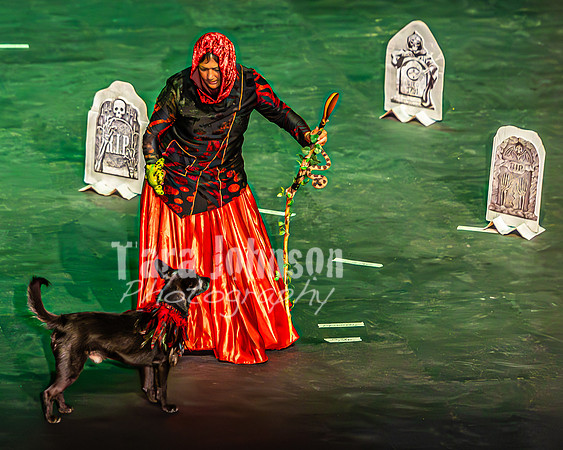 2026 Mutts in Motion - Tewks & Susette (Spell) - TJP (9 of 31)