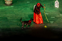 2026 Mutts in Motion - Tewks & Susette (Spell) - TJP (8 of 31)