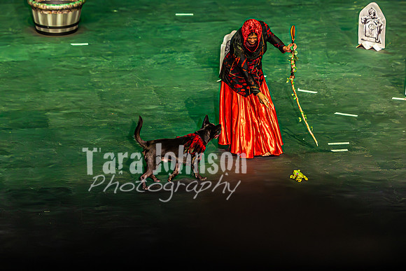 2026 Mutts in Motion - Tewks & Susette (Spell) - TJP (8 of 31)