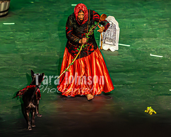 2026 Mutts in Motion - Tewks & Susette (Spell) - TJP (7 of 31)