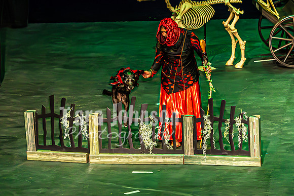 2026 Mutts in Motion - Tewks & Susette (Spell) - TJP (4 of 31)