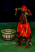 2026 Mutts in Motion - Tewks & Susette (Spell) - TJP (16 of 31)