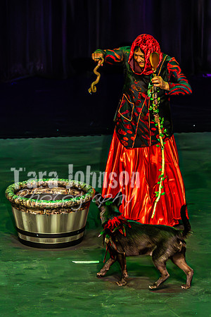 2026 Mutts in Motion - Tewks & Susette (Spell) - TJP (16 of 31)