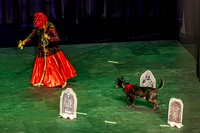 2026 Mutts in Motion - Tewks & Susette (Spell) - TJP (14 of 31)