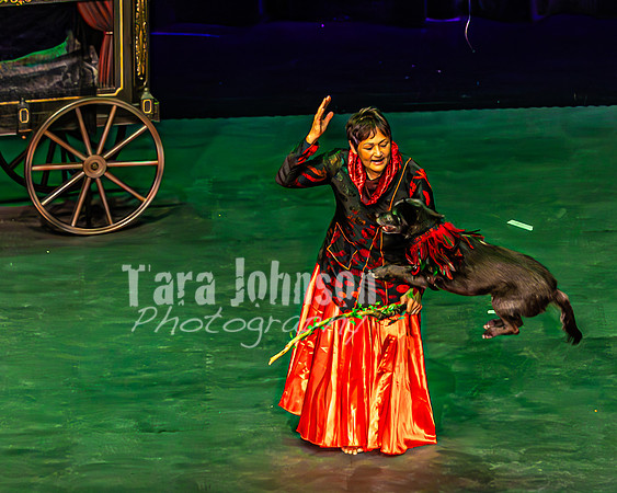 2026 Mutts in Motion - Tewks & Susette (Spell) - TJP (24 of 31)