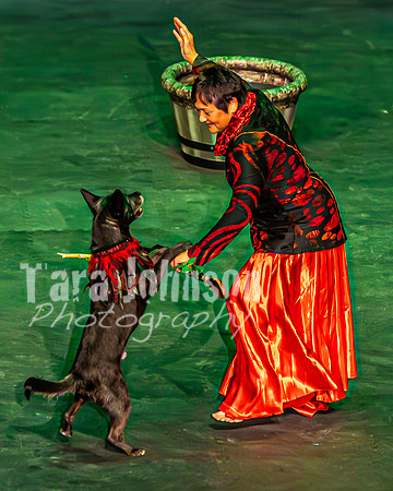 2026 Mutts in Motion - Tewks & Susette (Spell) - TJP (22 of 31)