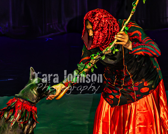 2026 Mutts in Motion - Tewks & Susette (Spell) - TJP (20 of 31)