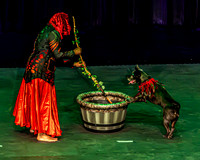 2026 Mutts in Motion - Tewks & Susette (Spell) - TJP (18 of 31)