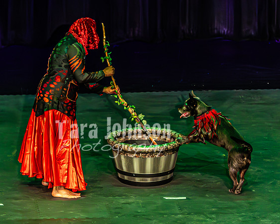 2026 Mutts in Motion - Tewks & Susette (Spell) - TJP (18 of 31)