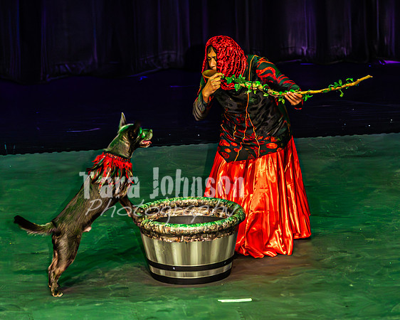 2026 Mutts in Motion - Tewks & Susette (Spell) - TJP (19 of 31)