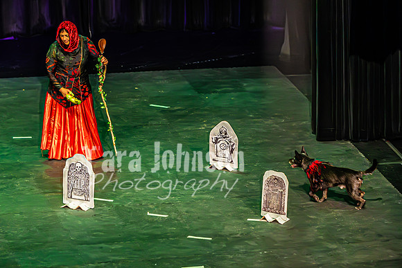 2026 Mutts in Motion - Tewks & Susette (Spell) - TJP (13 of 31)