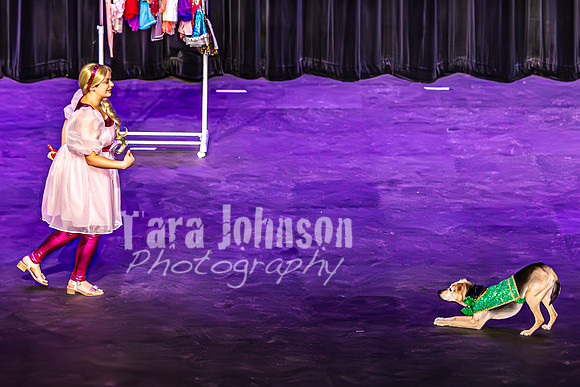 2026 Mutts in Motion - Zyra & Jen (Popular) - TJP (2 of 38)