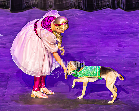 2026 Mutts in Motion - Zyra & Jen (Popular) - TJP (9 of 38)