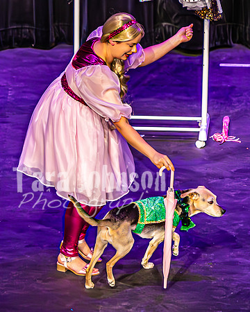 2026 Mutts in Motion - Zyra & Jen (Popular) - TJP (24 of 38)