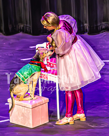 2026 Mutts in Motion - Zyra & Jen (Popular) - TJP (5 of 38)