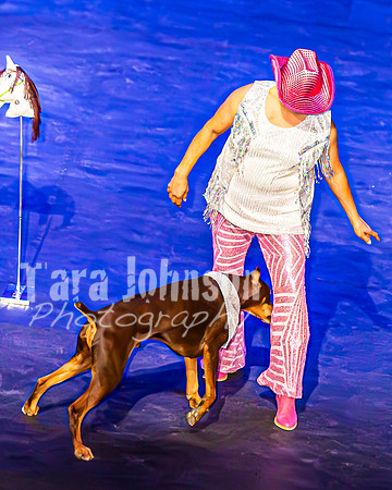 2026 Mutts in Motion - Bella & Mariah and Dan & Susette (Shania Twain) - TJP (10 of 27)