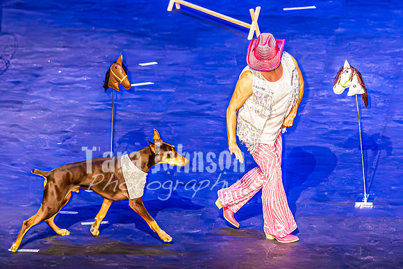 2026 Mutts in Motion - Bella & Mariah and Dan & Susette (Shania Twain) - TJP (15 of 27)