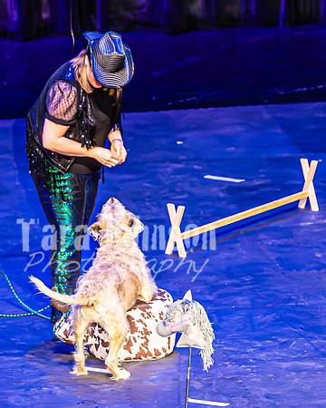 2026 Mutts in Motion - Bella & Mariah and Dan & Susette (Shania Twain) - TJP (18 of 27)
