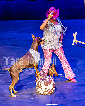 2026 Mutts in Motion - Bella & Mariah and Dan & Susette (Shania Twain) - TJP (21 of 27)
