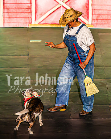 2026 Mutts in Motion - Spec & Susette (Farm Life) - TJP (10 of 21)