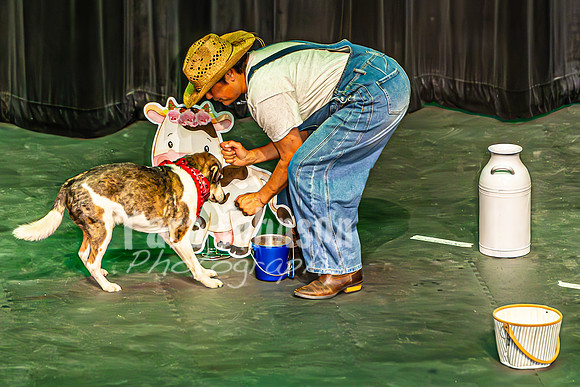2026 Mutts in Motion - Spec & Susette (Farm Life) - TJP (11 of 21)