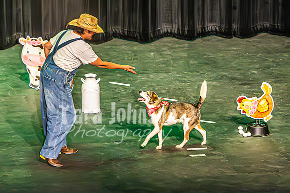 2026 Mutts in Motion - Spec & Susette (Farm Life) - TJP (15 of 21)