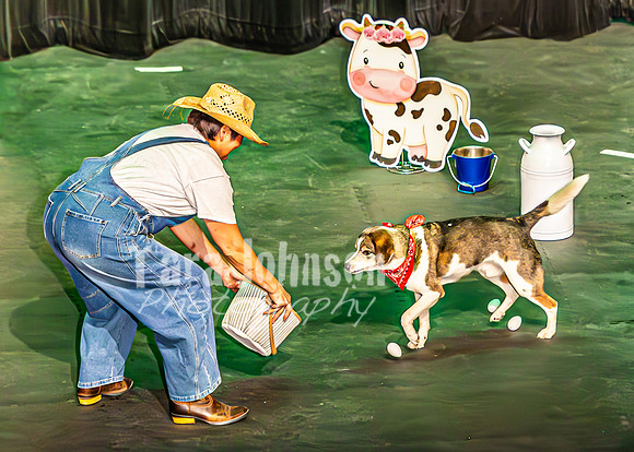 2026 Mutts in Motion - Spec & Susette (Farm Life) - TJP (17 of 21)