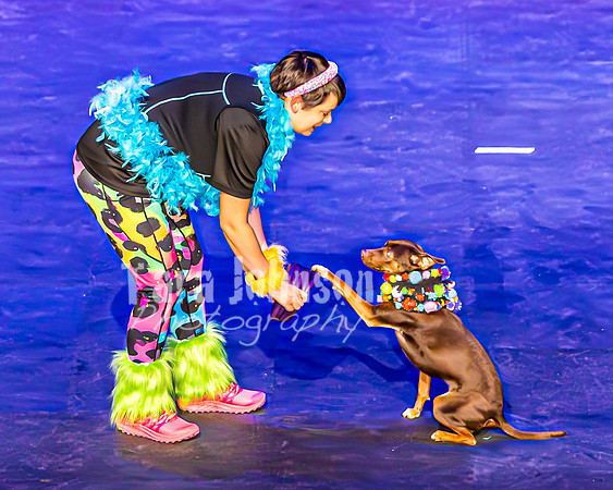 2026 Mutts in Motion - Stitch & Jen (Cooties) - TJP (1 of 21)