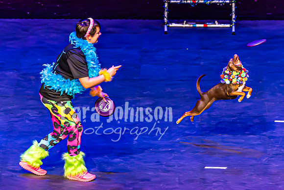 2026 Mutts in Motion - Stitch & Jen (Cooties) - TJP (6 of 21)