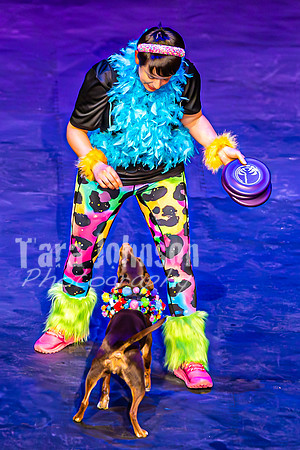 2026 Mutts in Motion - Stitch & Jen (Cooties) - TJP (7 of 21)